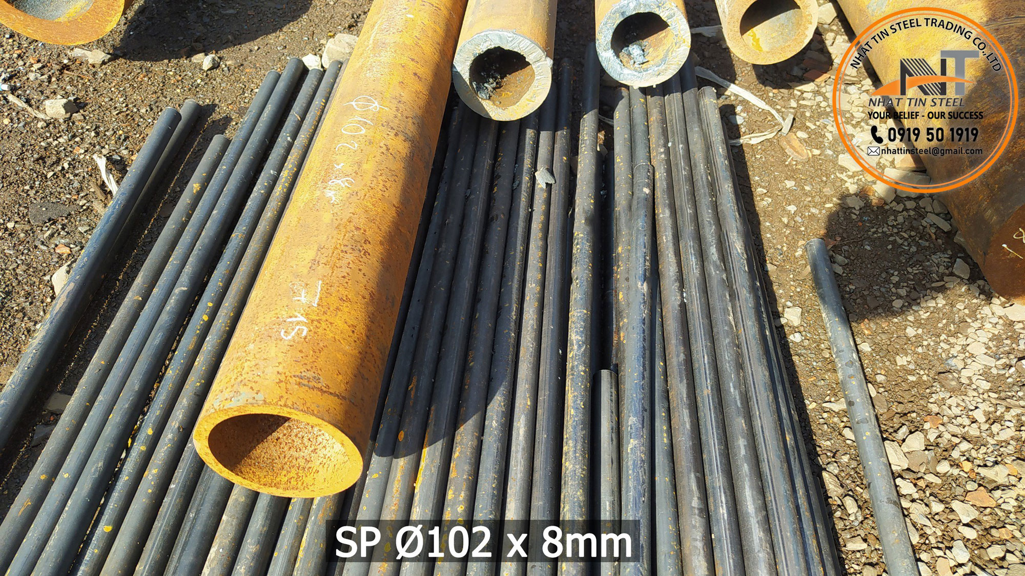 SP 020320233