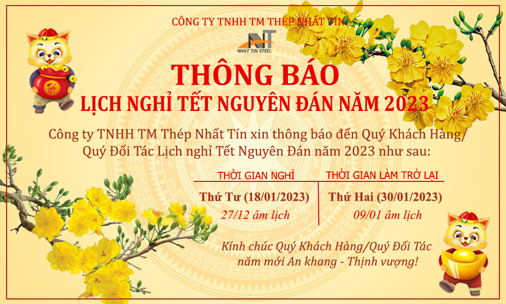 L_NHÁP_VN.jpg