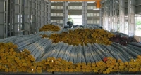 Sản lượng th&eacute;p ti&ecirc;u thụ của H&ograve;a Ph&aacute;t trong th&aacute;ng Tư tăng 10%