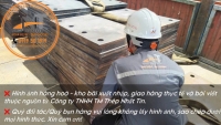 BẢN TIN CUỐI NĂM 2024: ẤN ĐỘ ĐỀ XUẤT THUẾ TỰ VỆ L&Ecirc;N ĐẾN 25% ĐỐI VỚI TH&Eacute;P NHẬP KHẨU